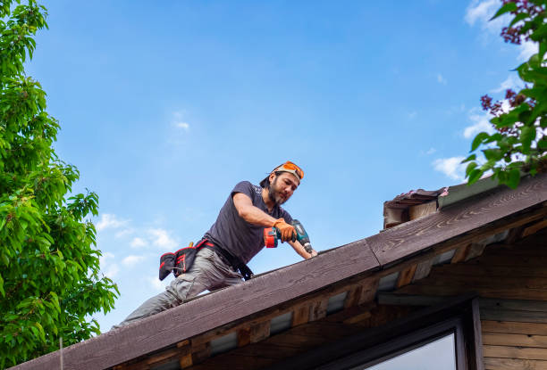 Best Roof Leak Repair  in Piggott, AR